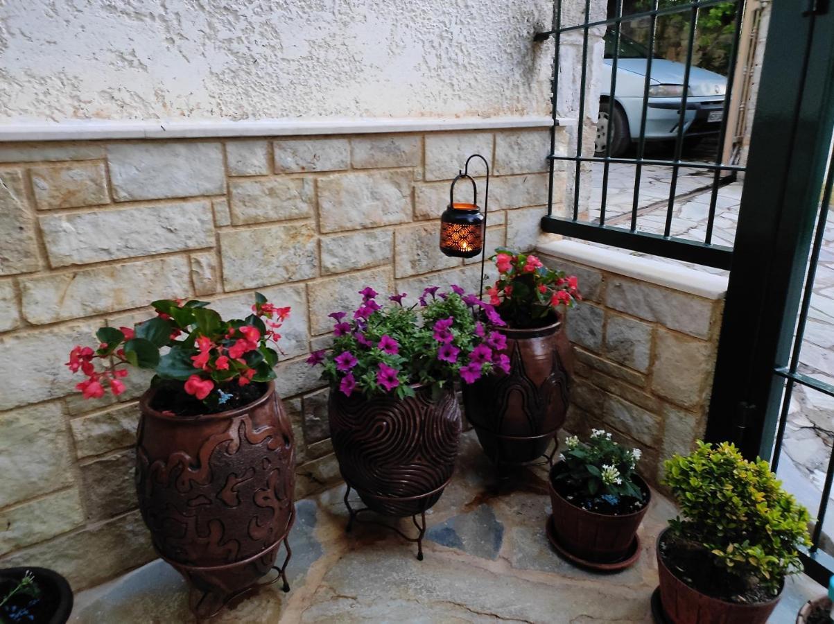 Apartamento Eleni-Areti Pefkochori Exterior foto