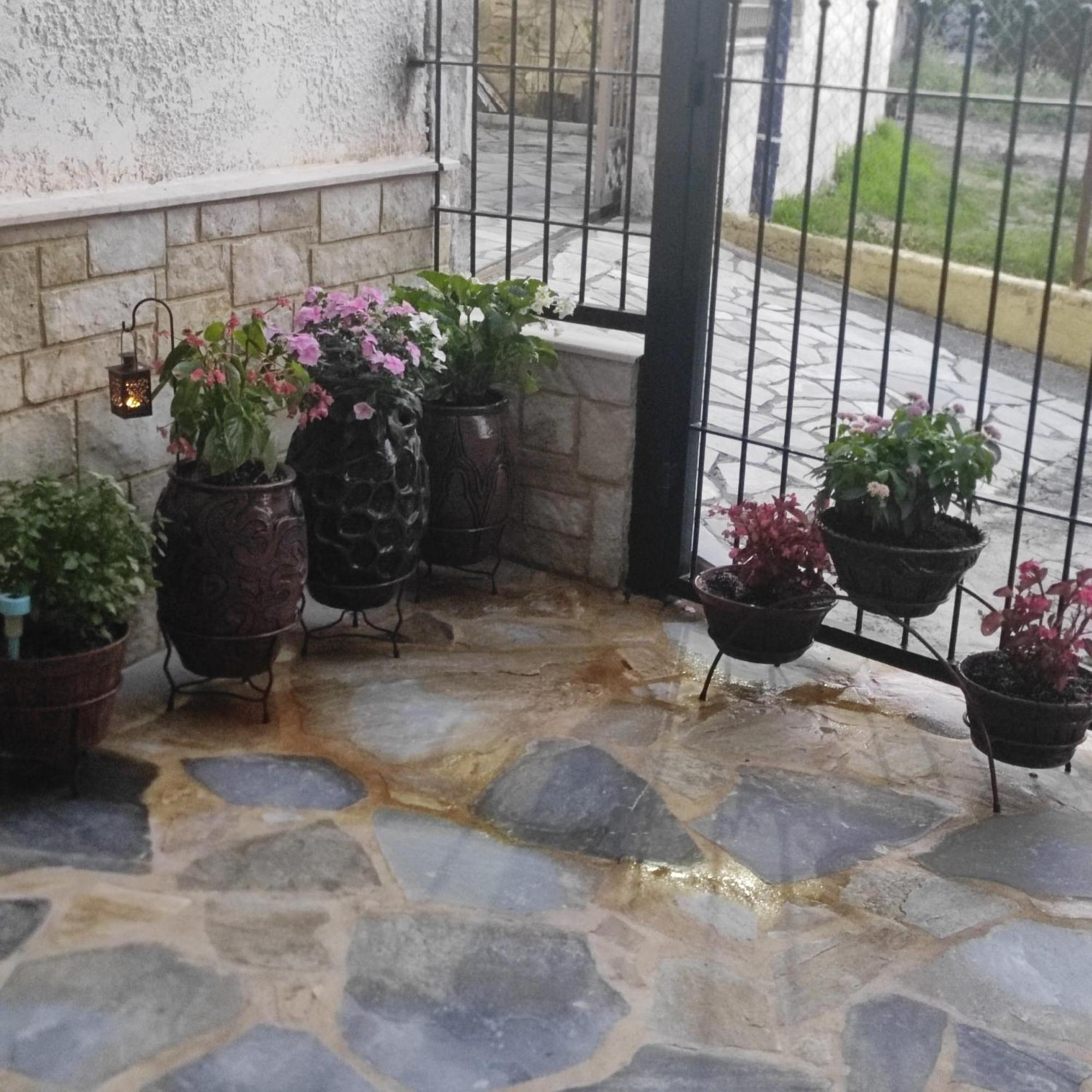 Apartamento Eleni-Areti Pefkochori Exterior foto