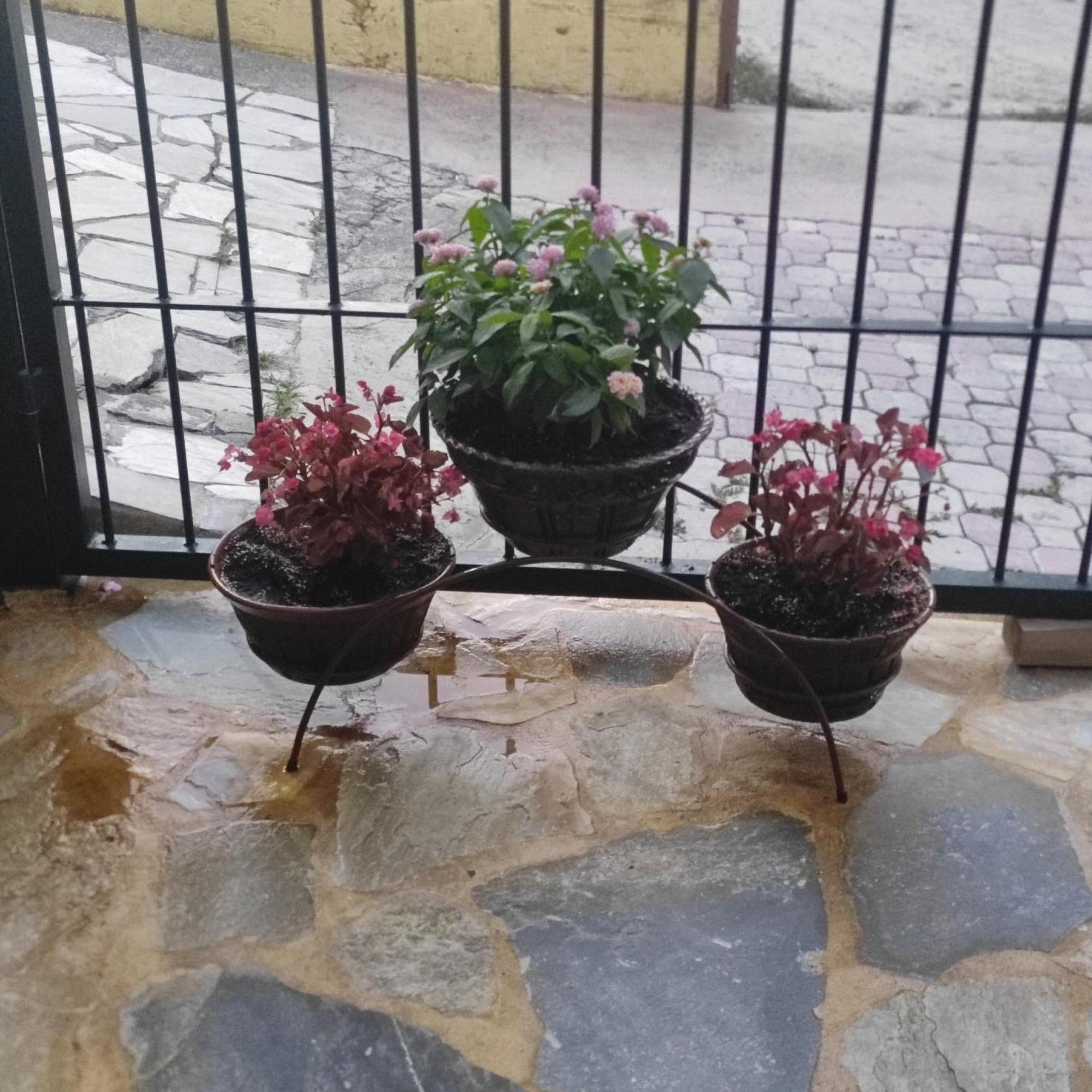 Apartamento Eleni-Areti Pefkochori Exterior foto