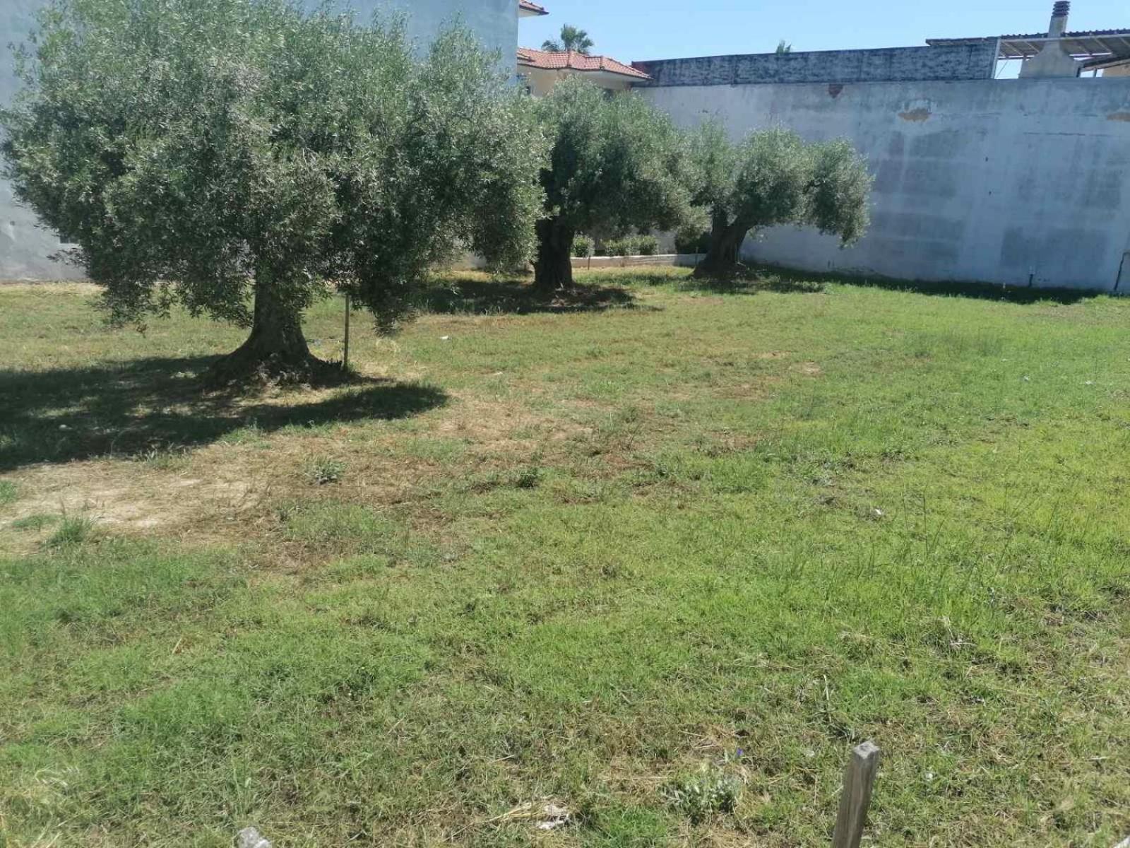 Apartamento Eleni-Areti Pefkochori Exterior foto